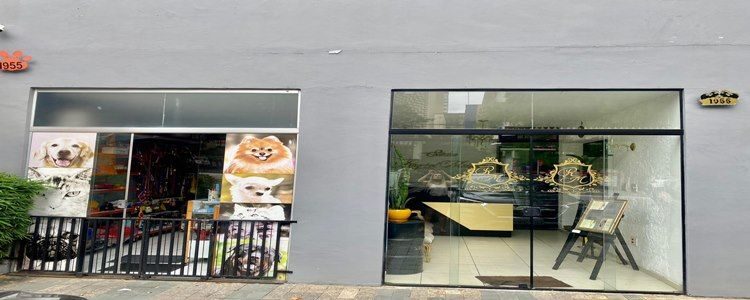 Pet Shop na Zona Sul: confira os melhores lugares